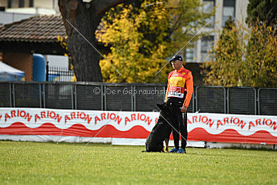 Luca von Djipy's Haus