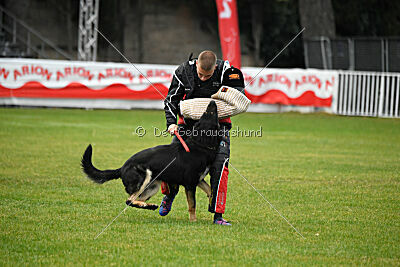 Luca von Djipy's Haus