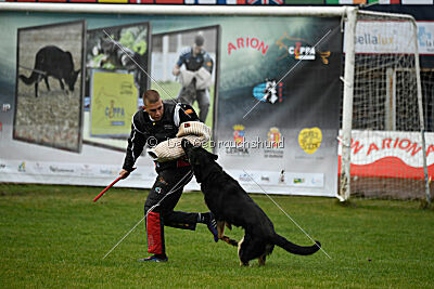 Luca von Djipy's Haus