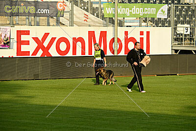 Ludwig-Rolf vom Germanen Schloss