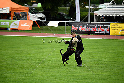 Luis vom Eisernen Kreuz