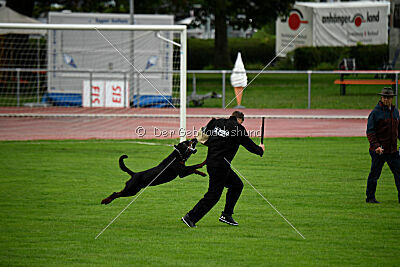 Luis vom Eisernen Kreuz