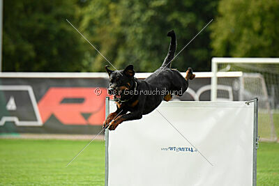 Luis vom Eisernen Kreuz