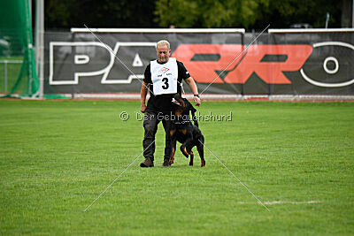 Luis vom Eisernen Kreuz