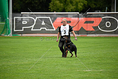 Luis vom Eisernen Kreuz