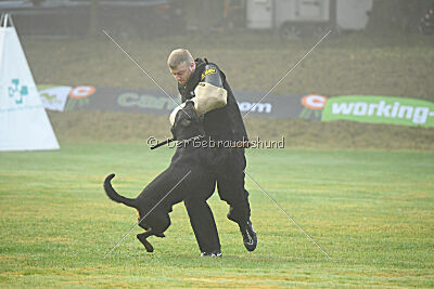 Luis vom Eisernen Kreuz