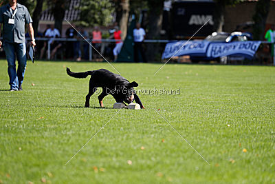 Luis von der Pulvermühle