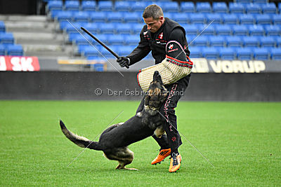 Mad Max von der Winterschal