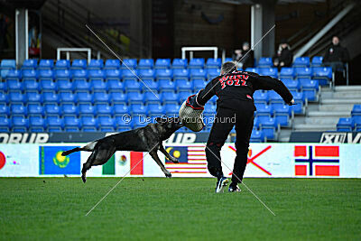 Mafi z Kurimského háje