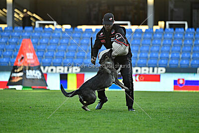 Mafi z Kurimského háje