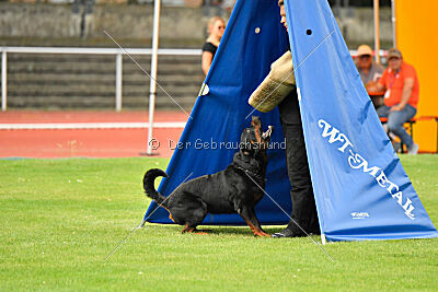 Magnus von der Fehnkolonie