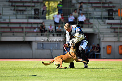 Majka de Alphaville Bohemia