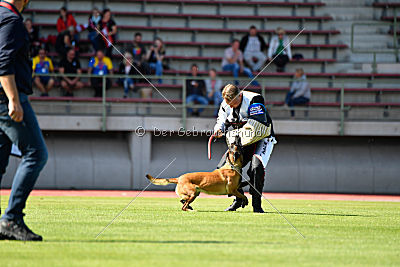 Majka de Alphaville Bohemia