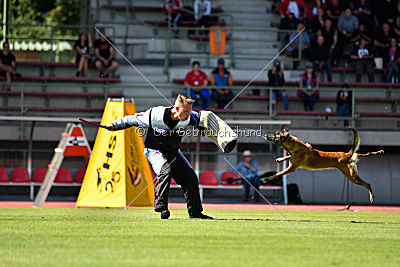 Majka de Alphaville Bohemia