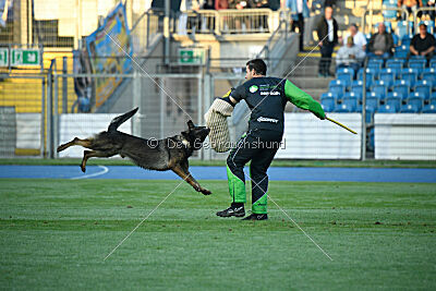 Malex vom Spektefeld