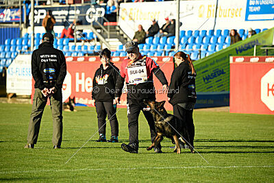 Malik vom Herrenhaus