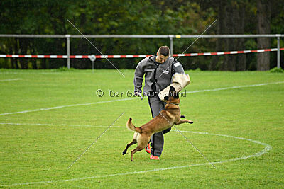 Malimaniac ́s Goldfinger