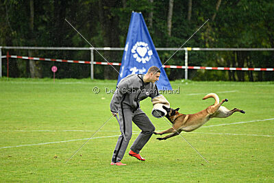 Malimaniac ́s Goldfinger