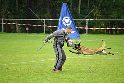 Malimaniac ́s Goldfinger