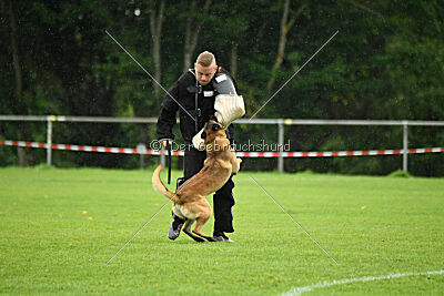 Malimaniac ́s Goldfinger