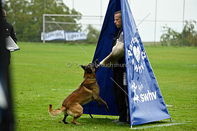 Malimaniac ́s Goldfinger