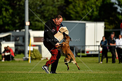 Malimaniac's Be Crazy