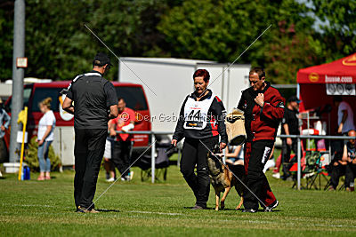 Malimaniac's Daft Punk