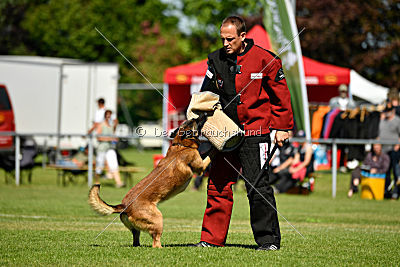 Malimaniac's Daft Punk