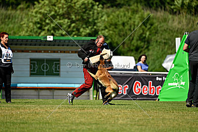 Malimaniac's Daft Punk