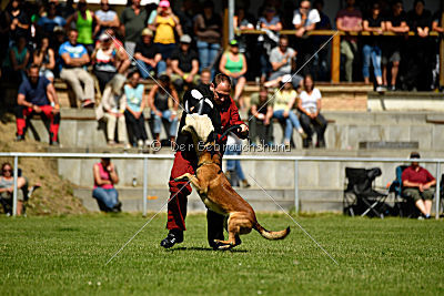 Malimaniac's Daft Punk