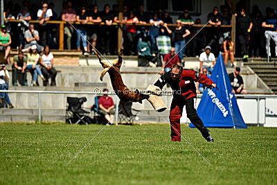 Malimaniac's Daft Punk