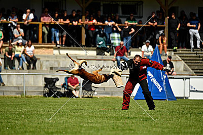 Malimaniac's Daft Punk