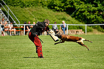 Malimaniac's Daft Punk