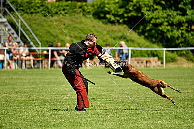 Malimaniac's Daft Punk