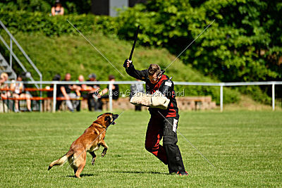 Malimaniac's Daft Punk