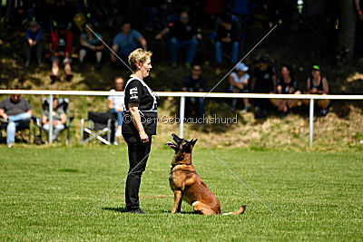 Malimaniac's Daft Punk