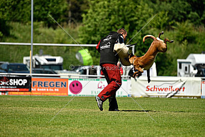 Malimaniac's Danger Zone