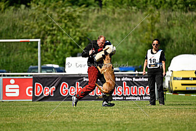 Malimaniac's Danger Zone