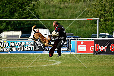 Malimaniac's Danger Zone