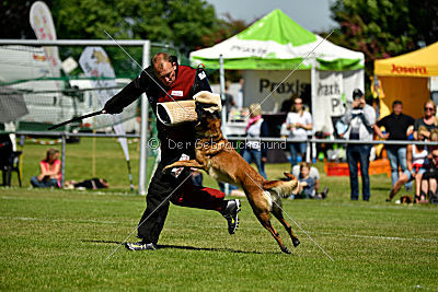 Malimaniac's Danger Zone