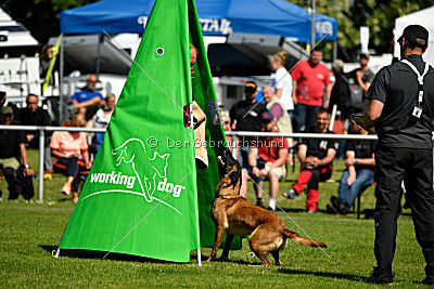 Malimaniac's Danger Zone