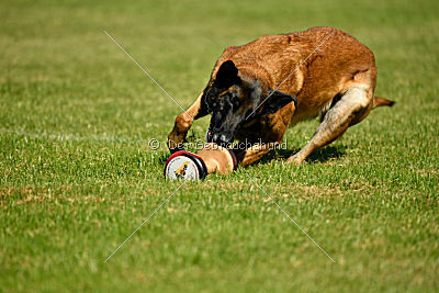 Malimaniac's Danger Zone