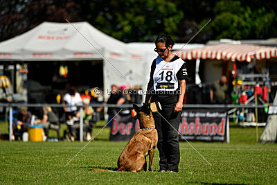 Malimaniac's Danger Zone