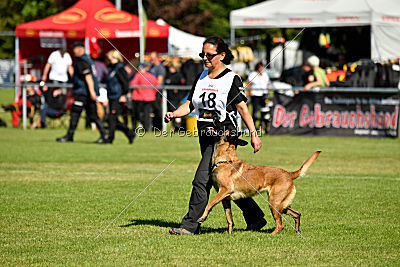 Malimaniac's Danger Zone