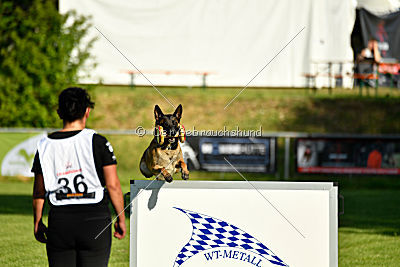 Malimaniac's Danger Zone