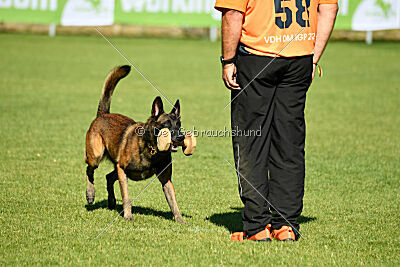 Malimaniac's Erlkönig