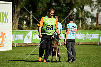 Malimaniac's Erlkönig