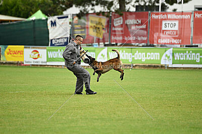 Malimaniac's Erlkönig