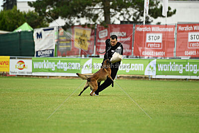 Malimaniac's Erlkönig