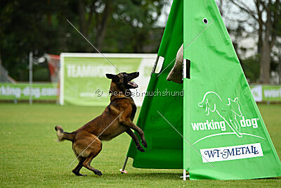 Malimaniac's Erlkönig